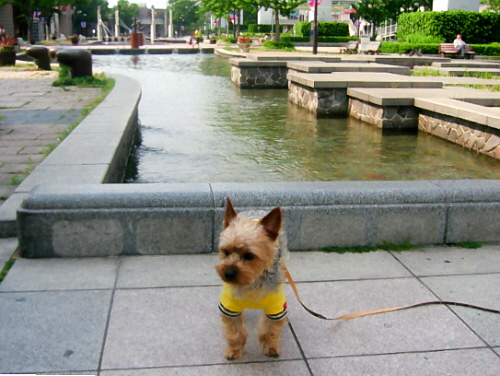 d0017632_11521115.jpg