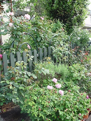 f0060535_17573.jpg