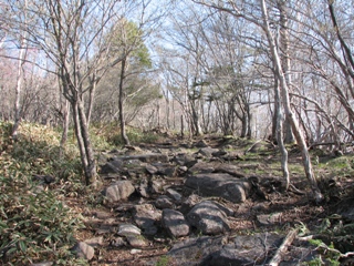 b0097836_2143688.jpg