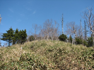 b0097836_2148849.jpg