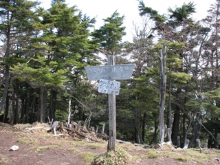 b0097836_21492360.jpg