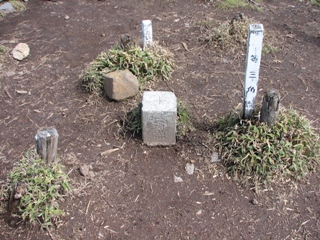 b0097836_21502472.jpg