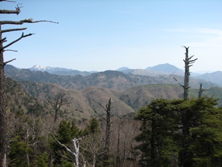 b0097836_2151672.jpg