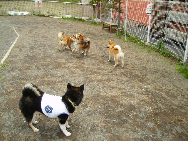 f0058241_21483263.jpg