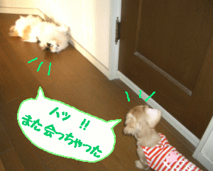 c0025852_15391139.gif