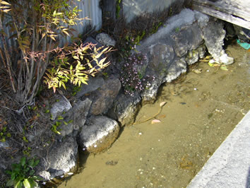 f0067354_19485842.jpg