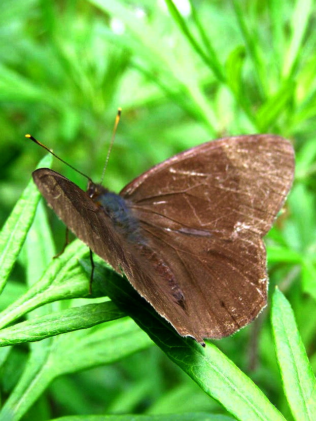 e0064158_140538.jpg
