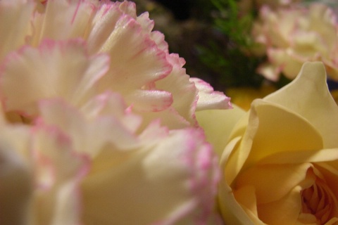 a0043982_21384346.jpg