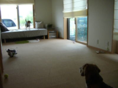 e0009584_21314022.jpg