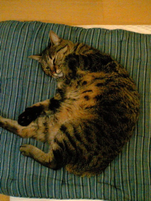 a0056686_11215573.jpg