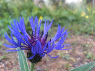 c0048701_0102288.jpg