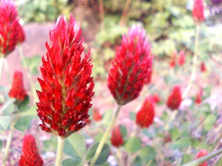 c0048701_0255775.jpg