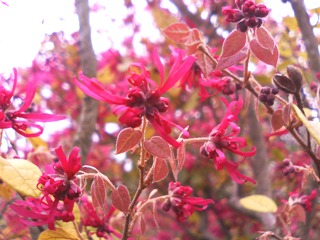 c0048701_0352061.jpg