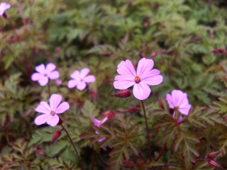 c0048701_23174561.jpg