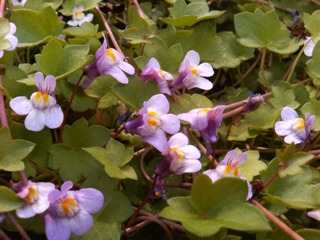 c0048701_23181072.jpg