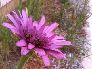 c0048701_23185471.jpg