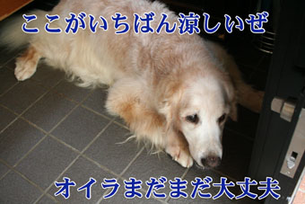 e0072606_15483391.jpg