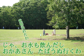 e0072606_16155983.jpg