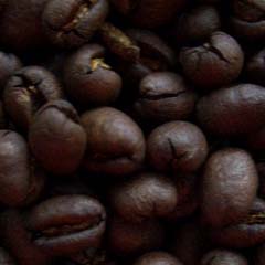 c0036617_17331042.jpg