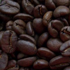 c0036617_1749353.jpg