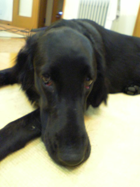e0013419_21024100.jpg