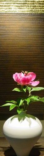 f0071123_2018341.jpg