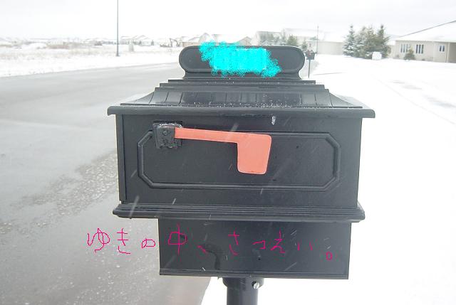 b0105724_7411990.jpg