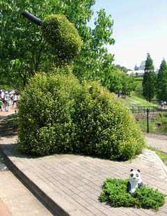 e0013927_1628678.jpg