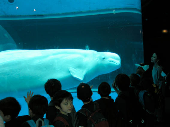 f0098728_22242070.jpg