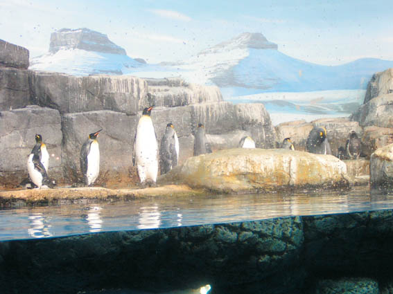 f0098728_22244296.jpg