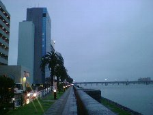 b0029438_2335142.jpg
