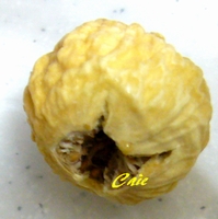 a0048852_9414069.jpg
