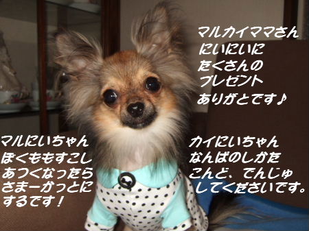 e0088654_23444662.jpg