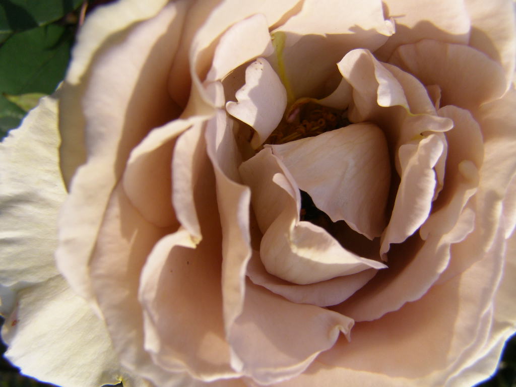 e0064158_0384846.jpg