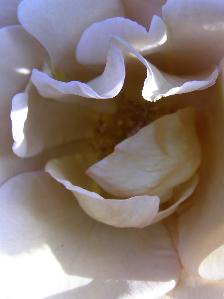 e0064158_0413528.jpg