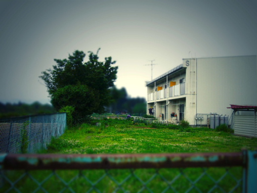 b0015260_9423427.jpg