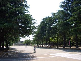 b0095760_16504046.jpg