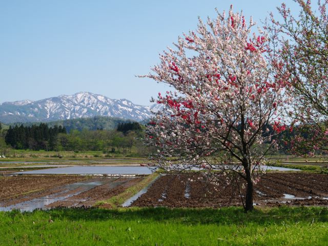 b0069761_23394245.jpg