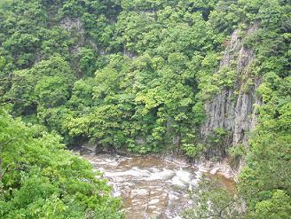f0056370_1491039.jpg