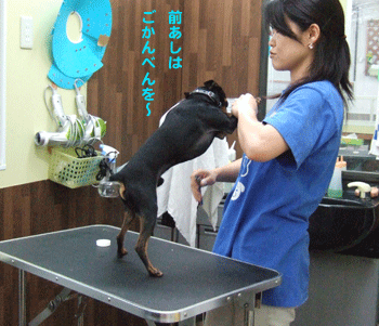 c0012571_202291.gif