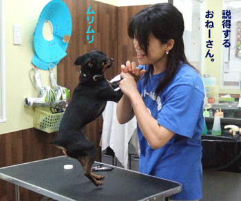 c0012571_2025818.gif