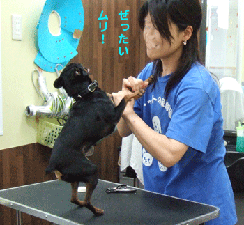 c0012571_2031472.gif