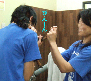c0012571_2035027.gif