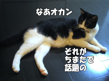 b0041182_21555873.jpg