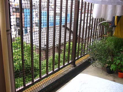 c0004193_23431730.jpg