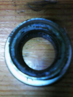 f0105504_2358898.jpg