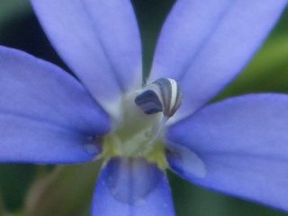 b0061107_233427.jpg