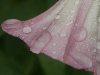 b0061107_2342635.jpg