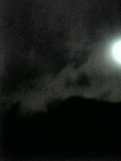 a0019322_022810.jpg