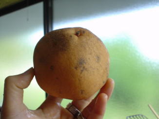c0007822_9363627.jpg